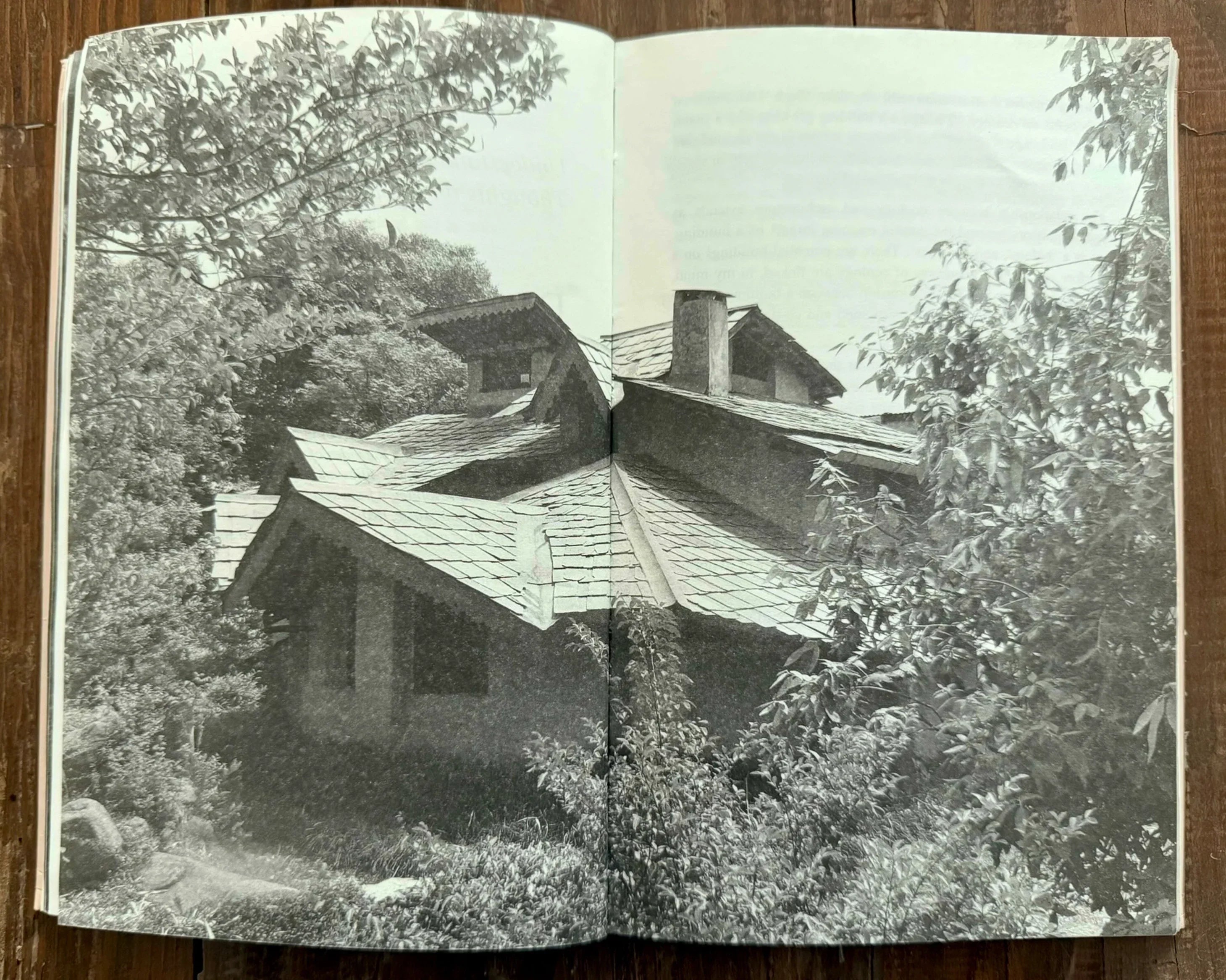 DIDI’S WAY OF LIFE