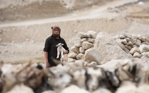 Pure Pashmina from Ladakh and the Artisans Behind It