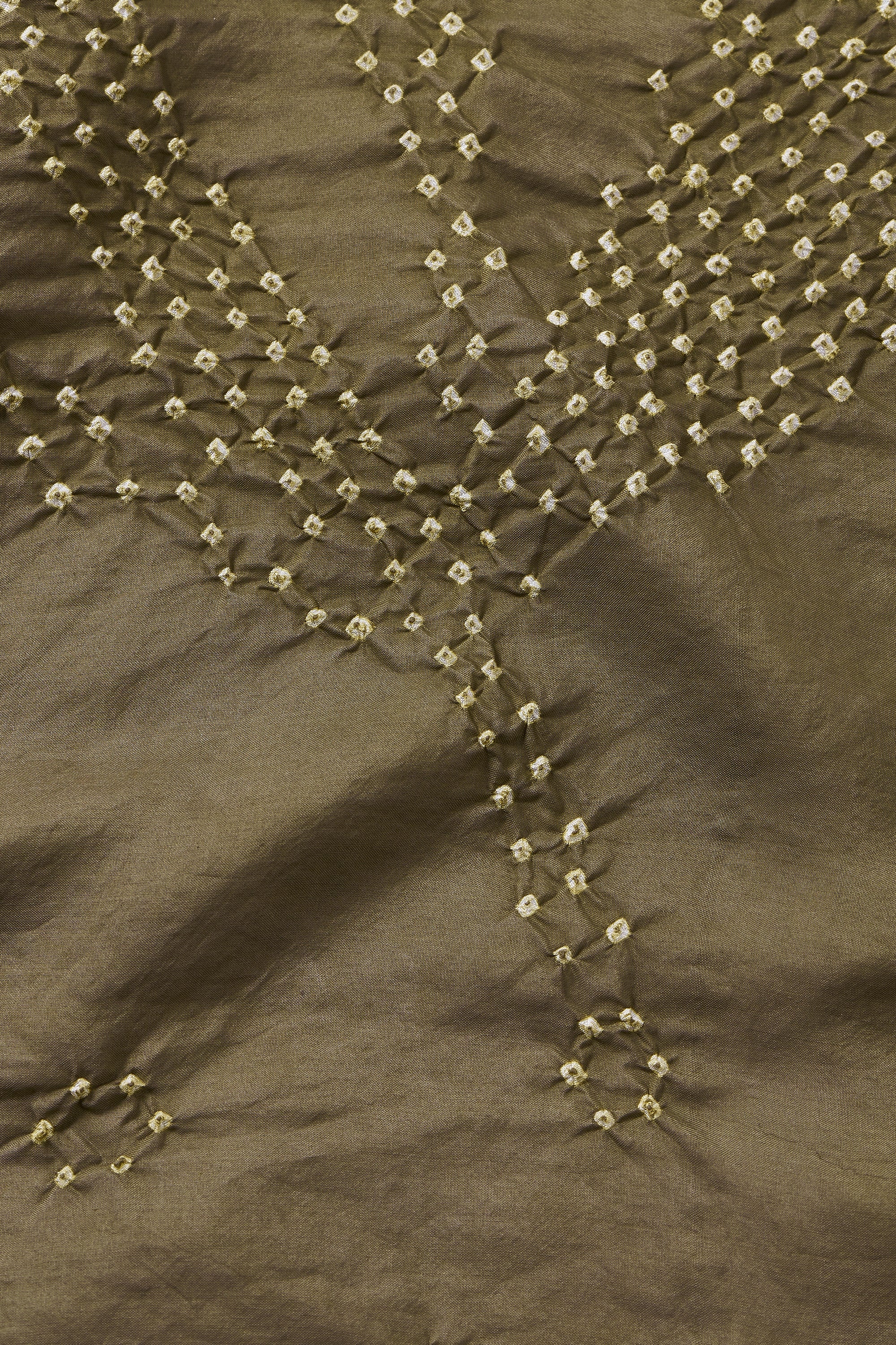SAGE SILK WITH BANDHANI SCARF