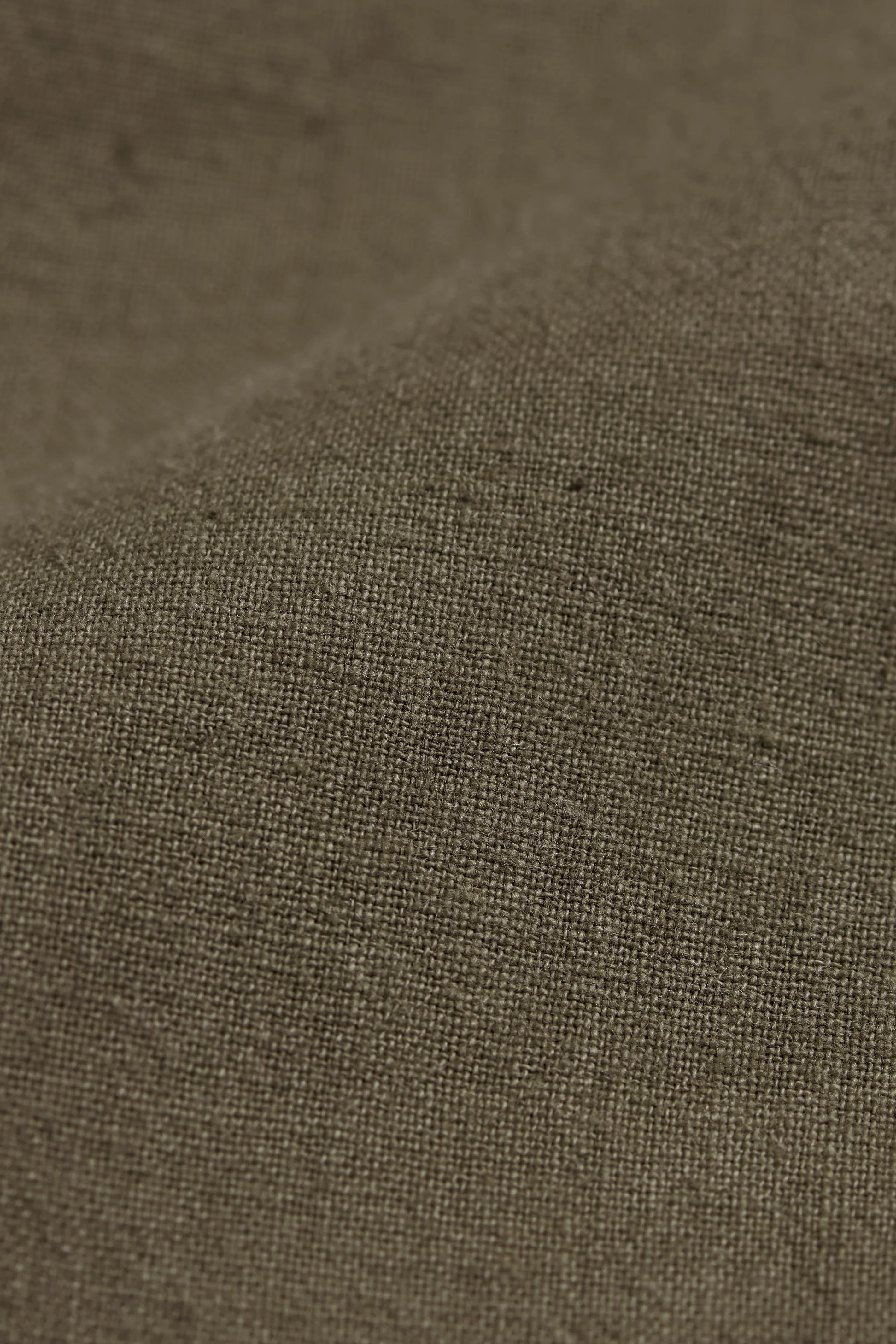 Cotton Pleated Trousers in Khakhi Green
