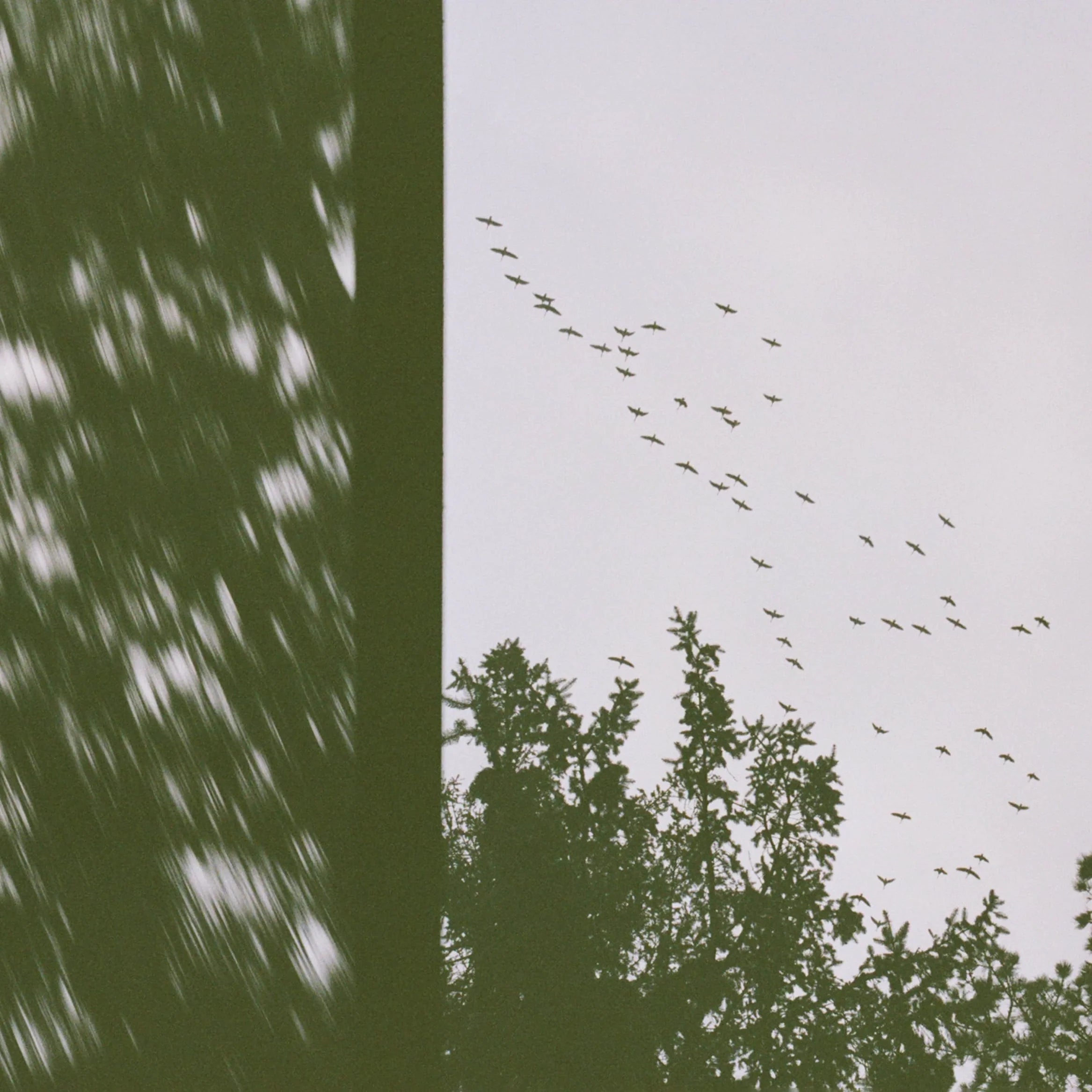 The Photographing Process