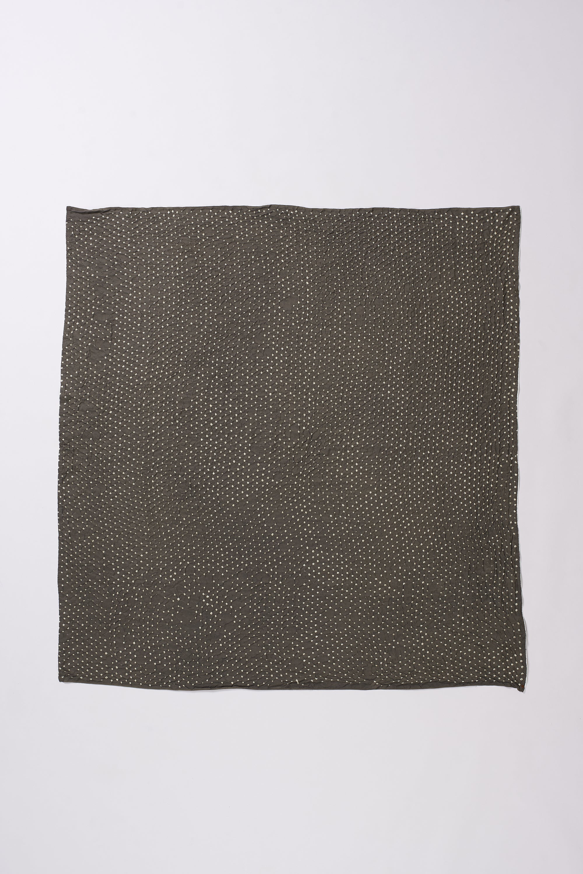 CHARCOAL SILK WITH BANDHANI SCARF