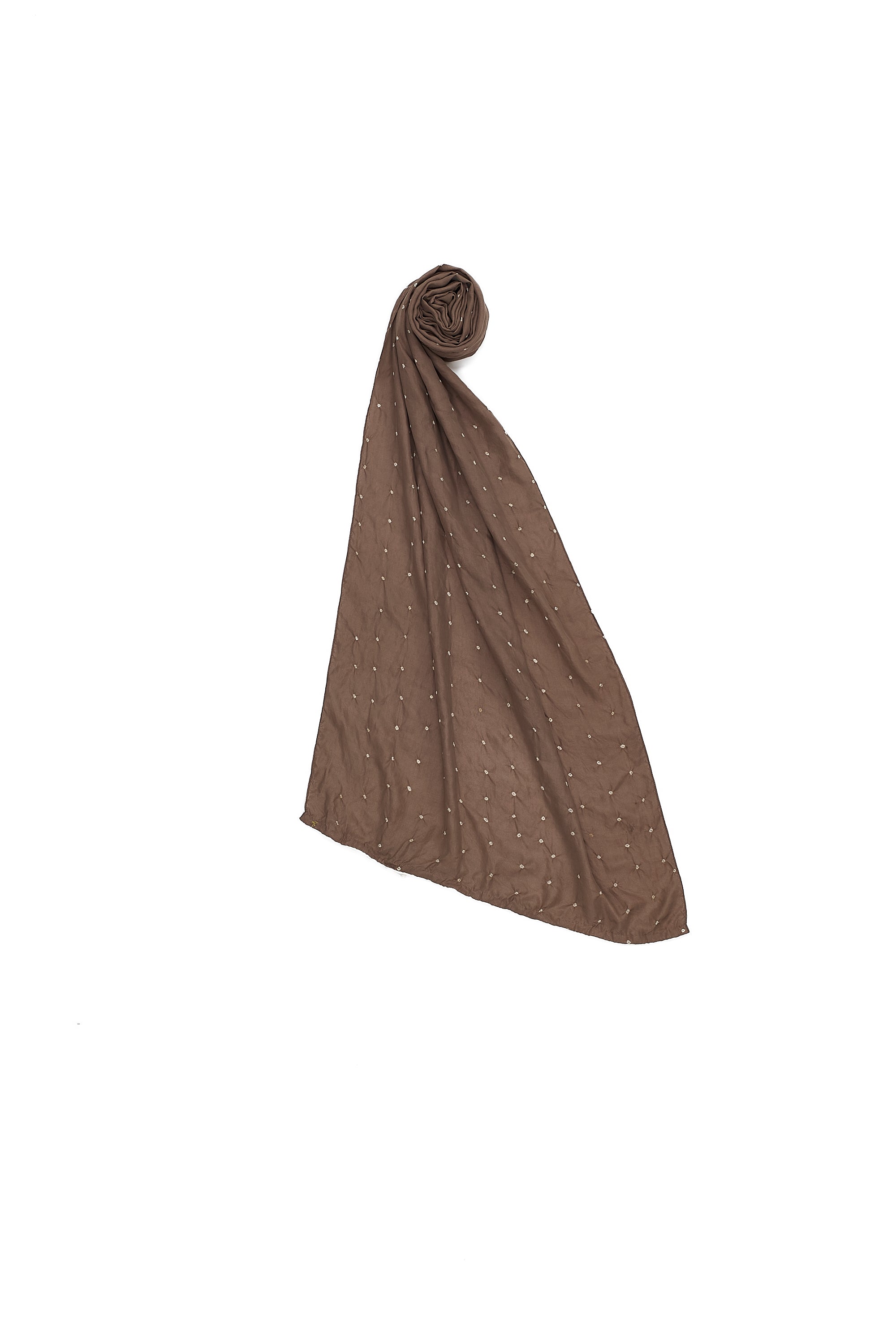 RUST SILK WITH BANDHANI SCARF