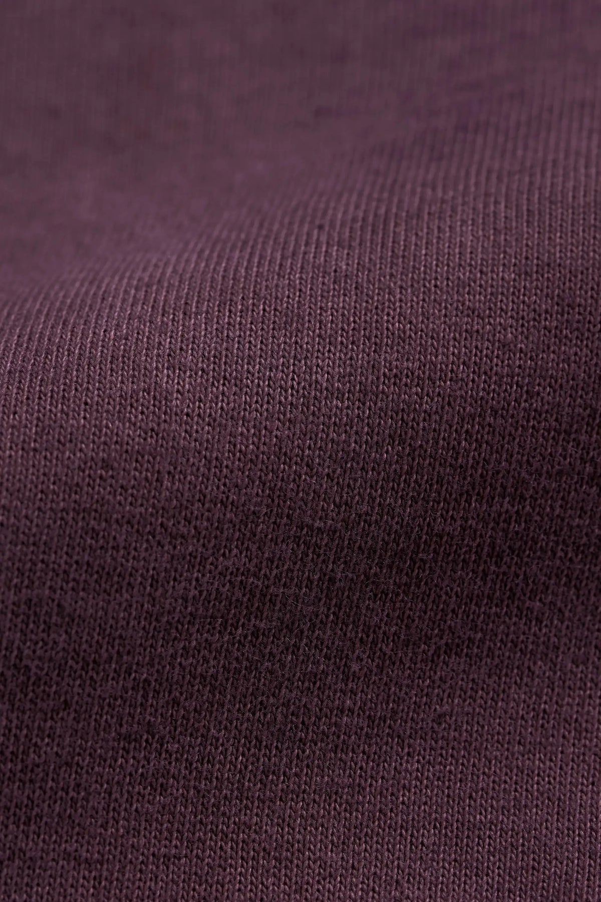 Kolz Sweatshirt in Purple Red