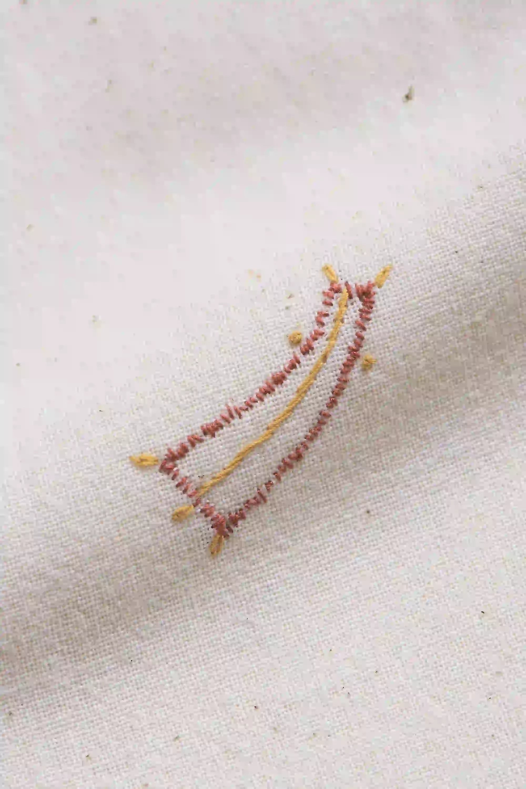 Fabric close-up with embroidery