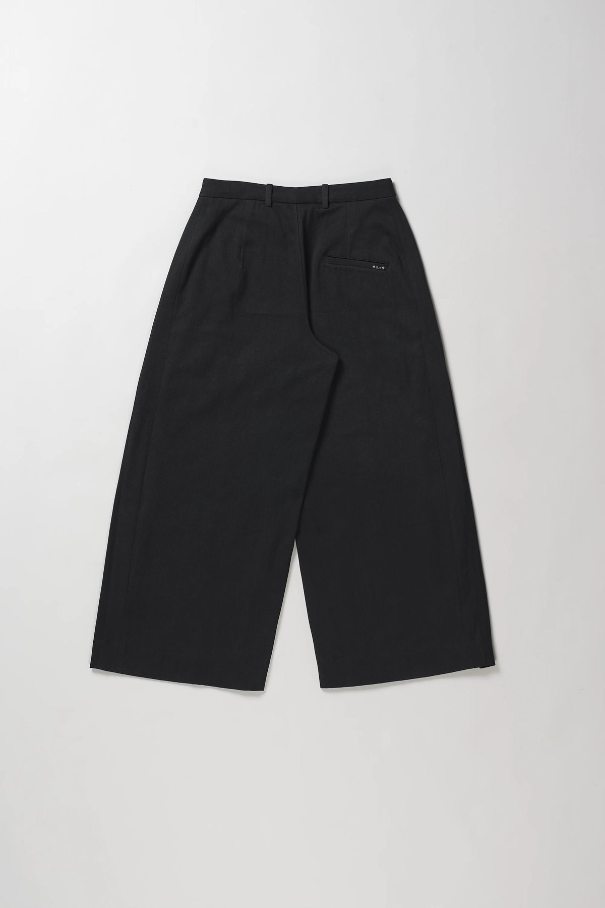 Relaxed Pleated Trousers in Black